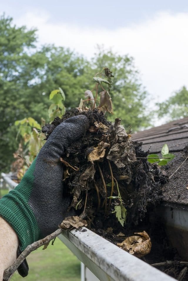 7 Signs Your Gutters Need Immediate Cleaning